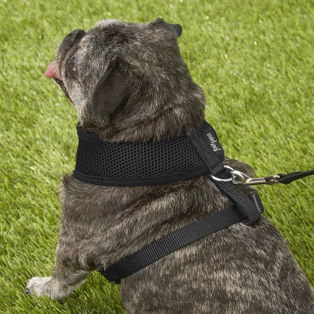 NWT Four Paws Walk-About Comfort Control Dog Harness Black Large